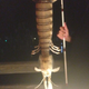 Illustration for article titled Fisherman Pulls Monstrous Nightmare Shrimp Out Of Ocean